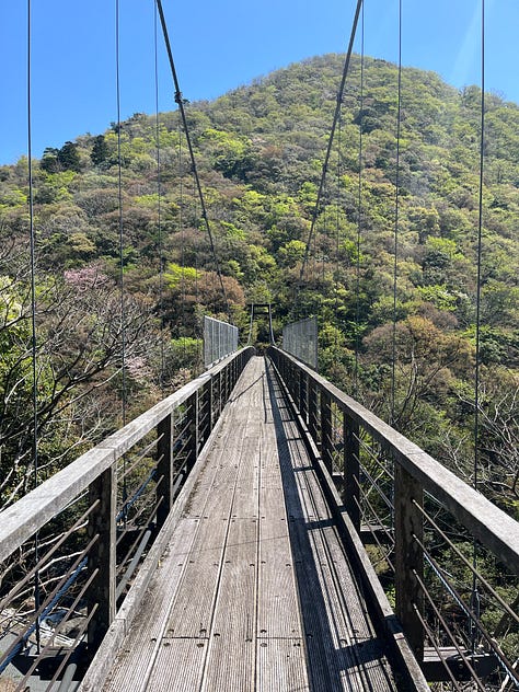 Pictures of oni, Futasegawa Gorge and preparing rice fields