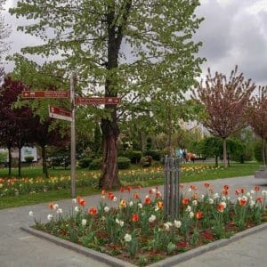 Banja Luka Tulip Banja Luka Tulip