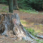 Beach Story Writing Dog Dad