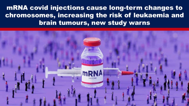 lionessofjudah.substack.com