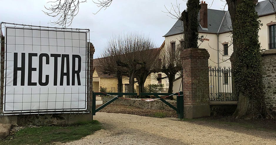 HEC and Hectar Join Forces to Guide Regenerative Startups | HEC Paris