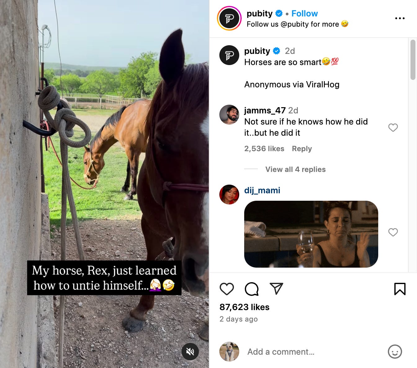 screenshot of pubity reel of rex untying himself from a hitching post
