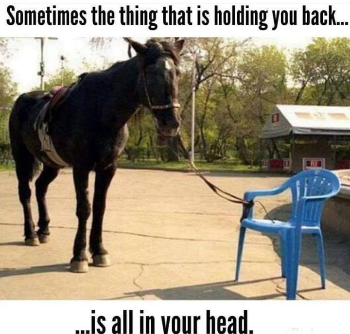 Best of & Worst Of - Memes of Your Dreams (continued)