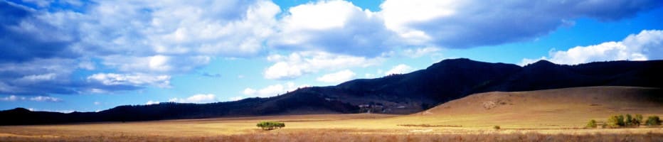 Decisive Liberty Newsletter