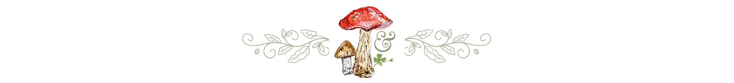 watercolor red and brown mushroom over scrolls