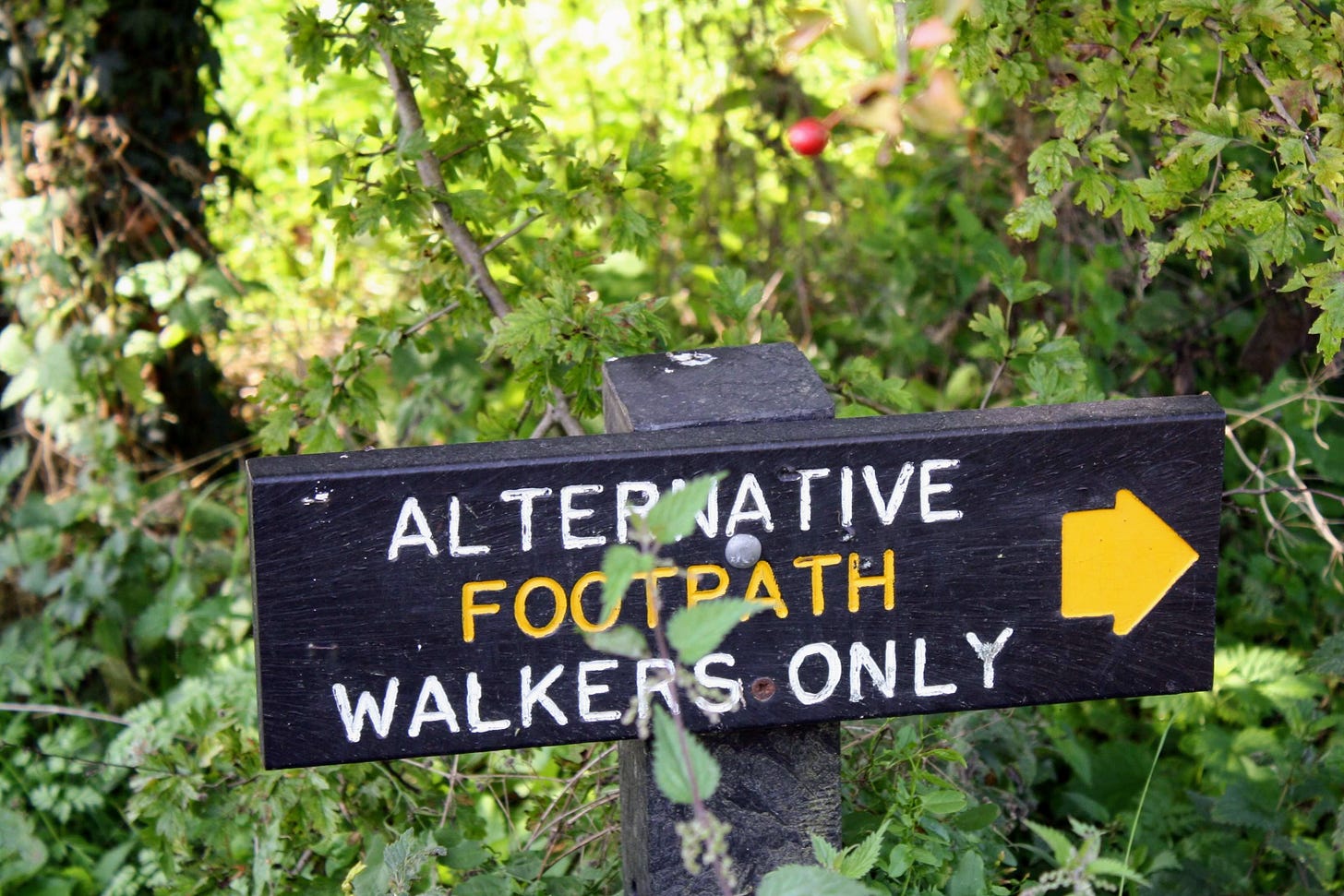 Black waymarking signpost on the Ridgeway, reading "alternative footpath walkers only"