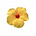 ضُحى .'s avatar