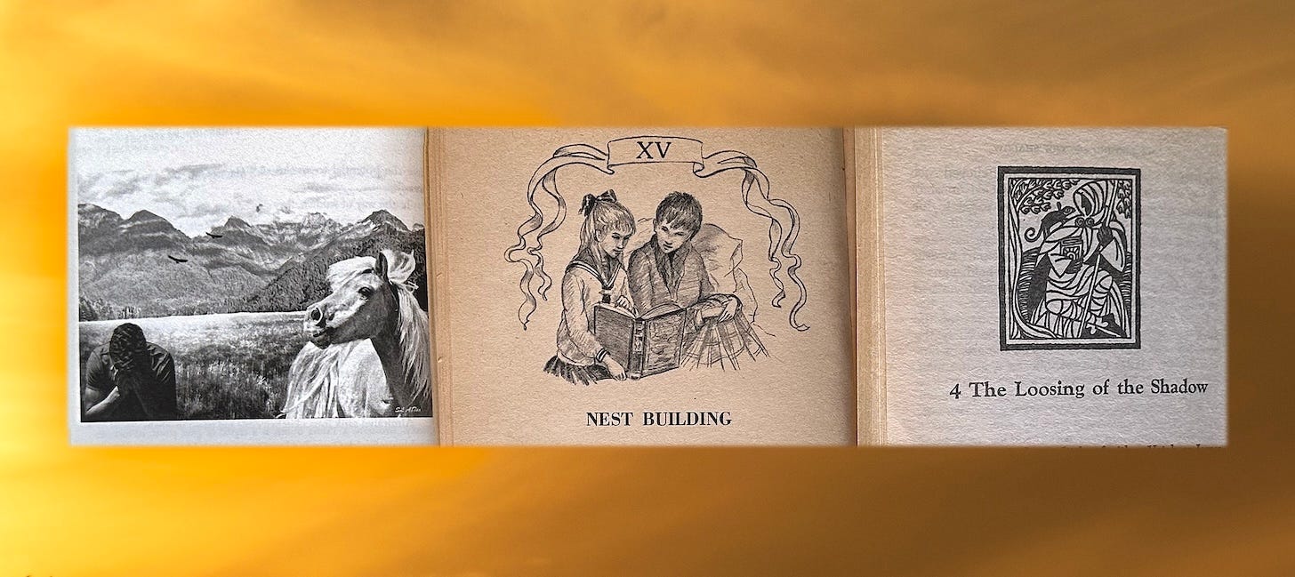 Closeups of black and white chapter heading in paper books. On the left, one of the chapter heading illustrations I created for DiMensioner's Revenge: Illustrated by the Author, VarTerels' Universe™ Book1. In the center a decoration by Tasha Tudor appearing in The Secret Garden. On the right an illustration by Ruth Robbins in A Wizard of Earthsea.