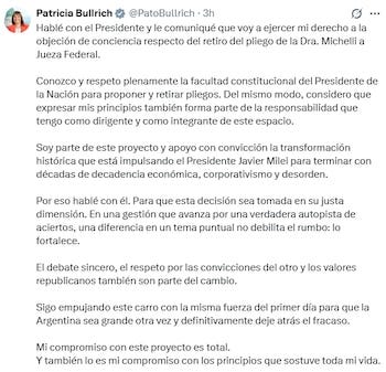 O senador de La Libertad Avanza escreveu via X