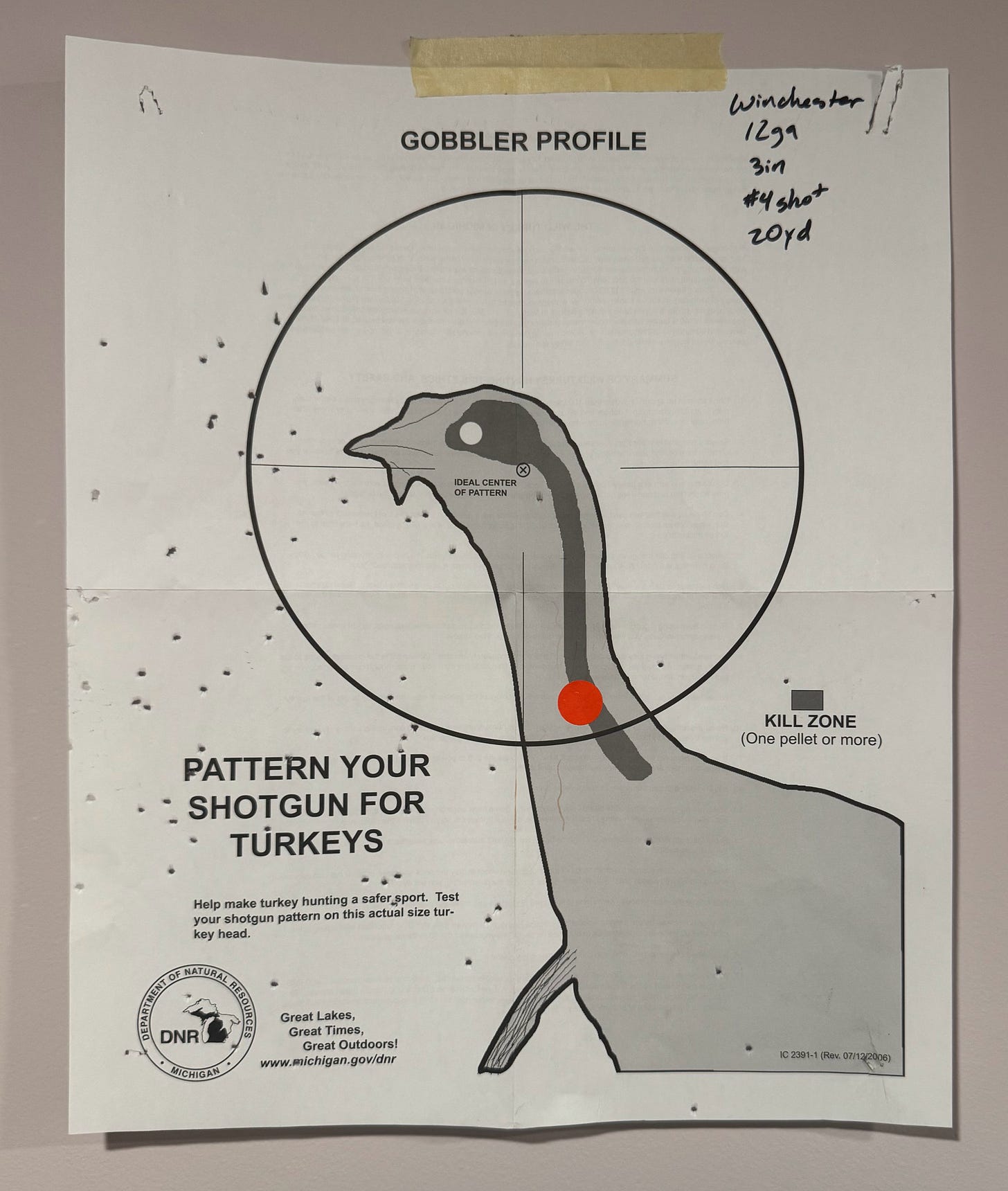 A turkey target from the Michigan DNR. At the top it says GOBBLER PROFILE, and in the middle, with a target and crosshares laid over, is a simple drawing of a turkey. The area corresponding to its brain and spinal cord has been shaded darker, and a key says "KILL ZONE." At the bottom the target says PATTERN YOUR SHOTGUN FOR TURKEYS. Visible on the paper are many tiny holes made by shot pellets. There are more of them clustered together a couple inches to the left of the KILL ZONE. 