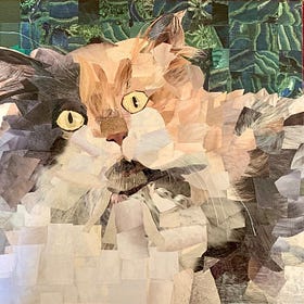 How much do you love your pet?