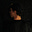Luke Smith's avatar