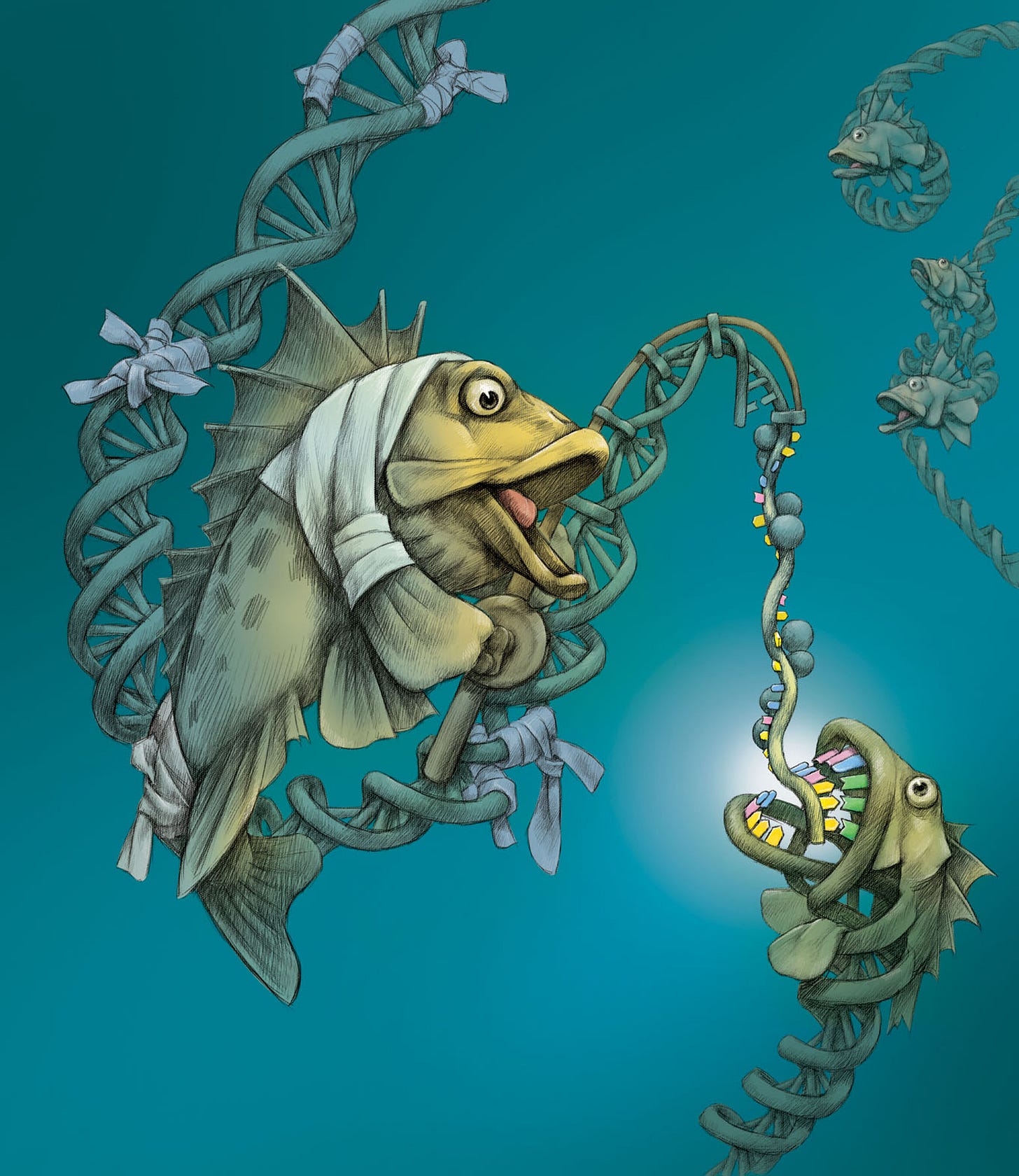 Penn Researchers Explain How Ends of Chromosomes Are Maintained for Cancer  Cell Immortality | Penn Today