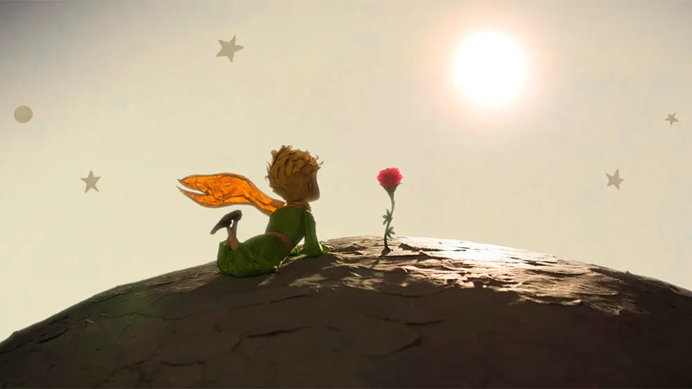 The little prince looking at his flower.