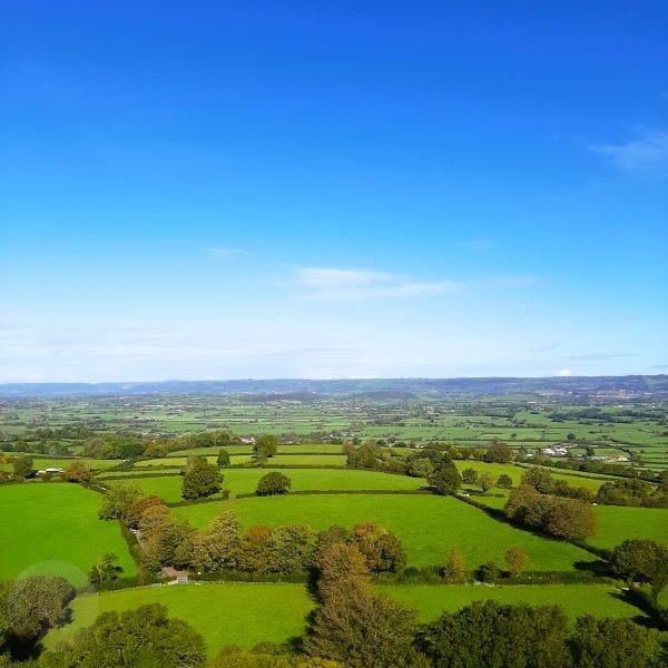 The Creatrix Experience ©2024 Elizabeth des Roches