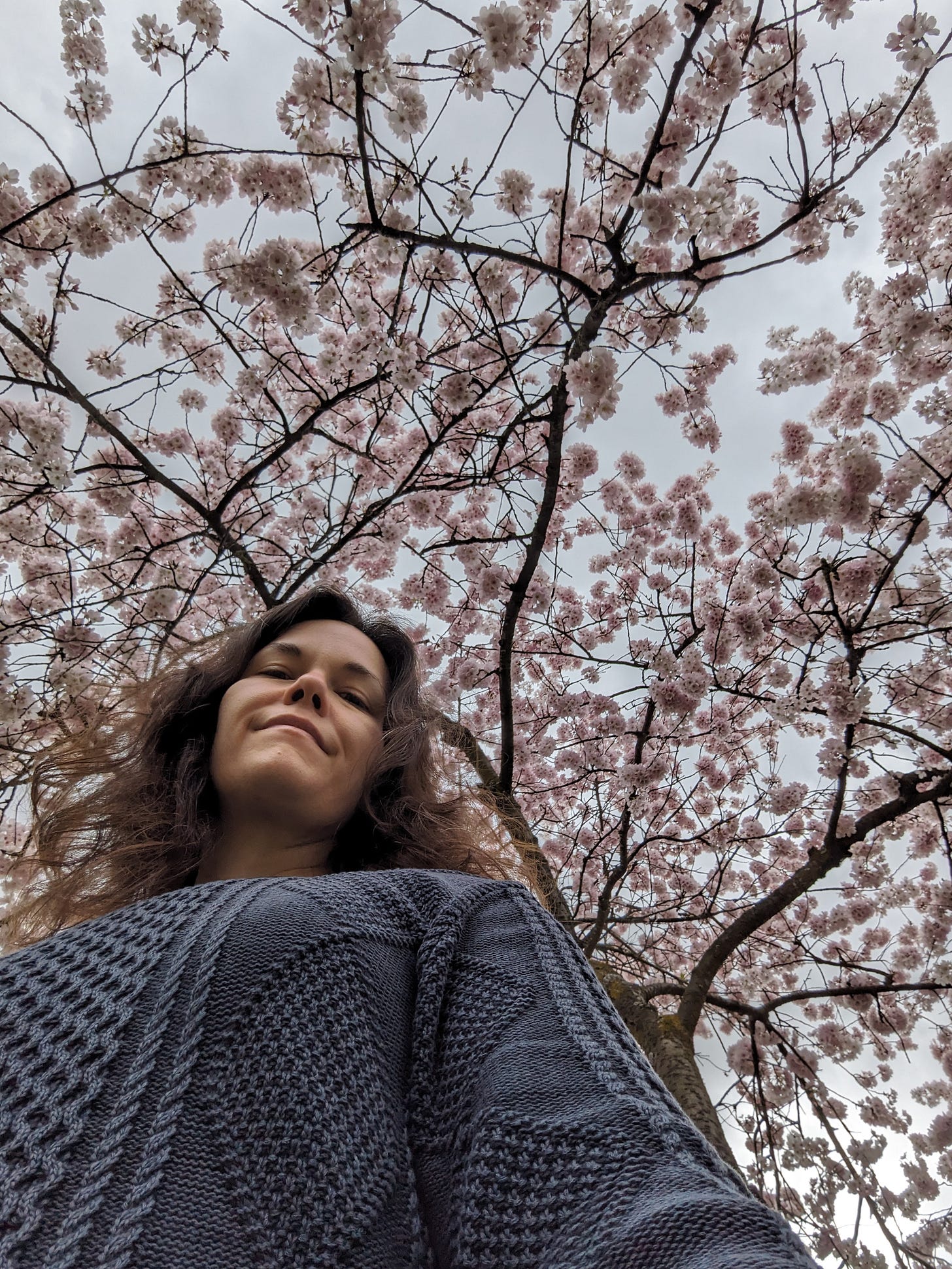 camera pointed up at the face of a woman standing beneath a blossoming cherry tree 
