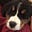 Tedow's avatar