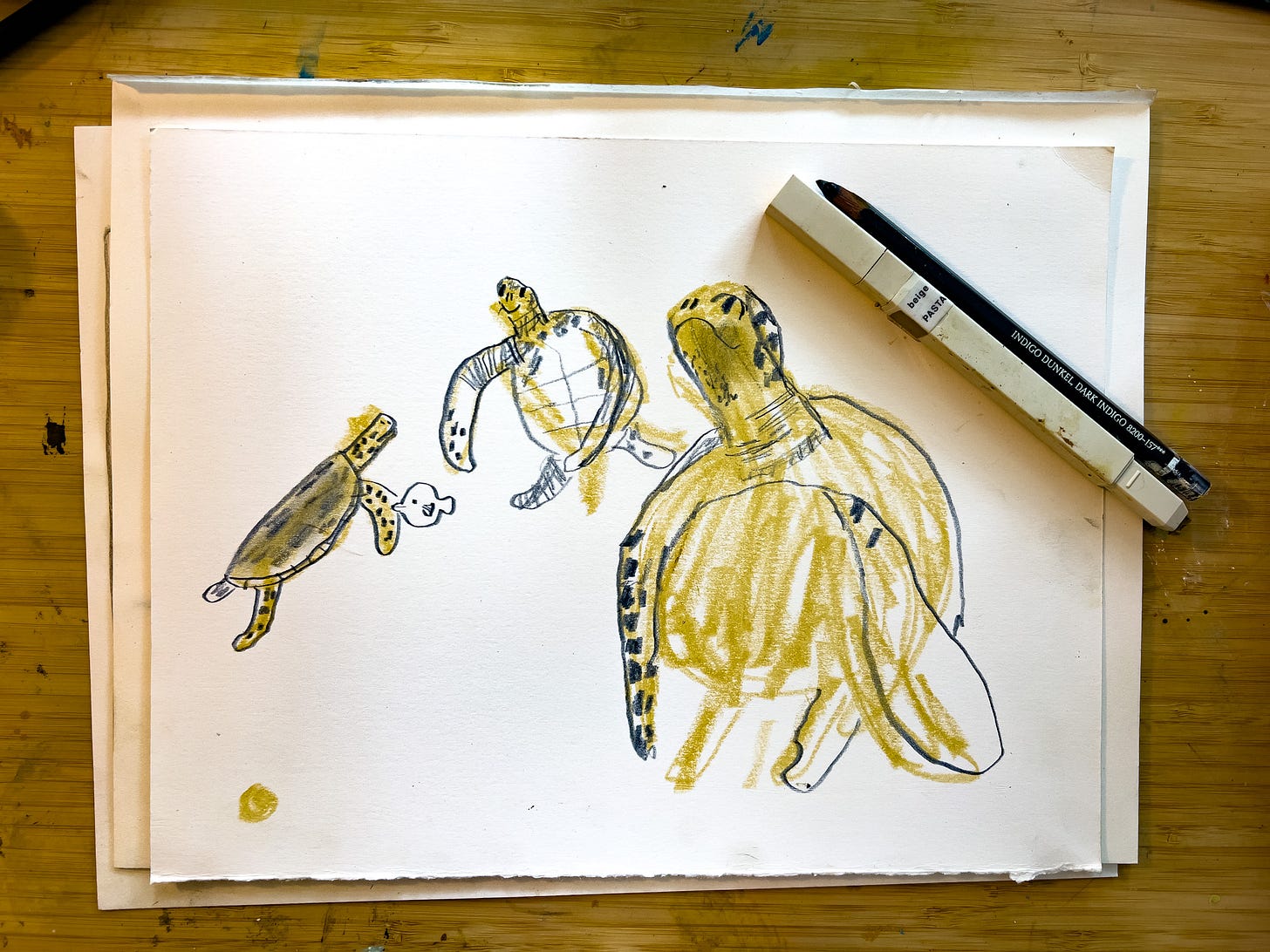 sea turtle sketches sea turtle sketches