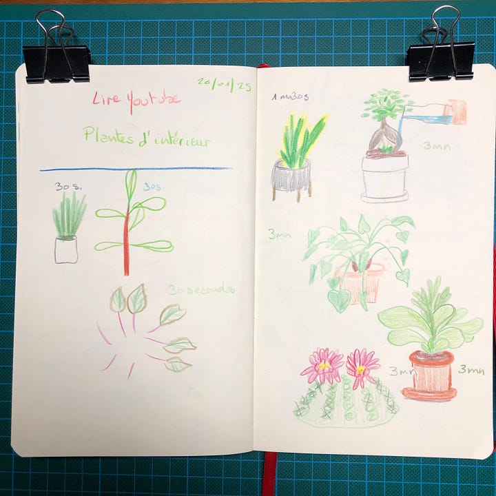 Photos des 4 doubles-pages sur lesquelles j’ai dessiné pendant la session. On y voit des dessins de plantes d’intérieur réalisés aux crayons de couleurs et parfois au crayon graphite. Le temps accordé à chaque dessin est noté à côté.