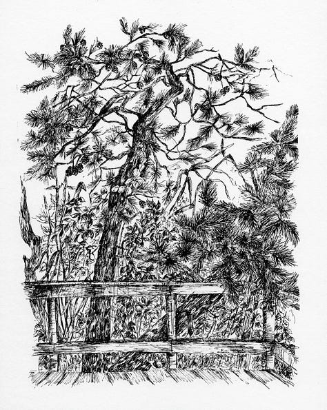 Artwork Examples of Elaine Lipitz