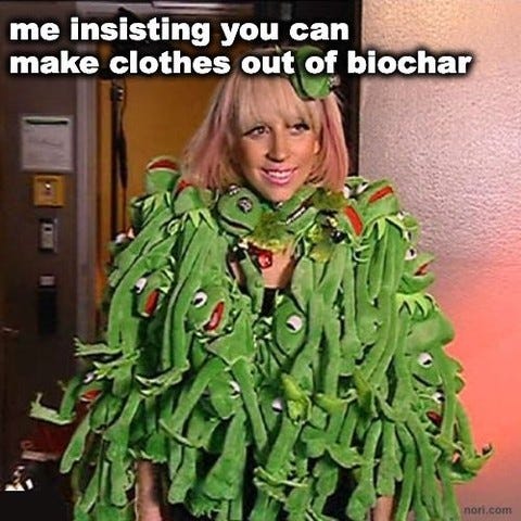 Lady Gaga wearing a coat made entirely of Kermit the Frog dolls, captioned "me insisting you can make clothes out of biochar".