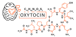 Oxytocin Molecule - Happy Hormone ... Oxytocin Molecule - Happy Hormone ...