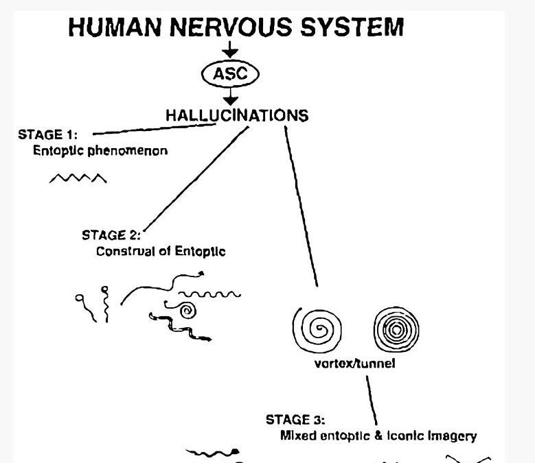NMDA Receptor Antagonists: Slightly More than you Wanted to Know