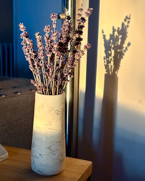 Images depicting the author reading at an open mic, a vase of dried lavender bathed in light from the setting sun, and the author's husband petting a black cat on one of their walks.