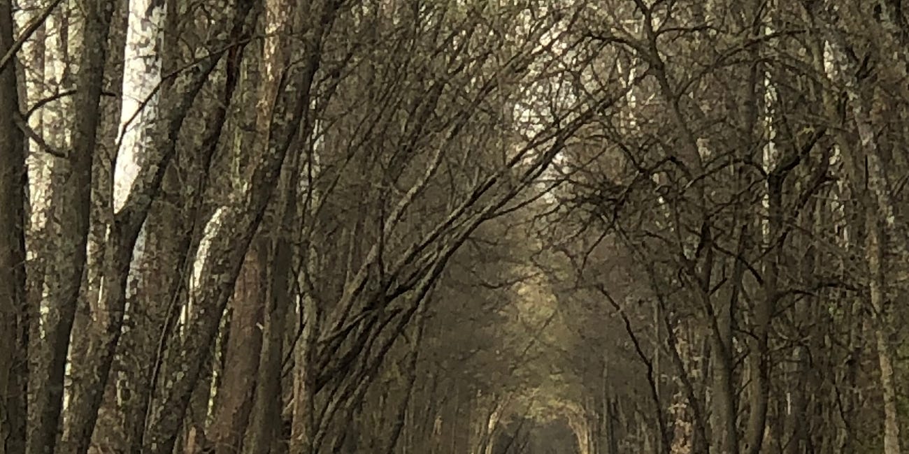 Beckoning
