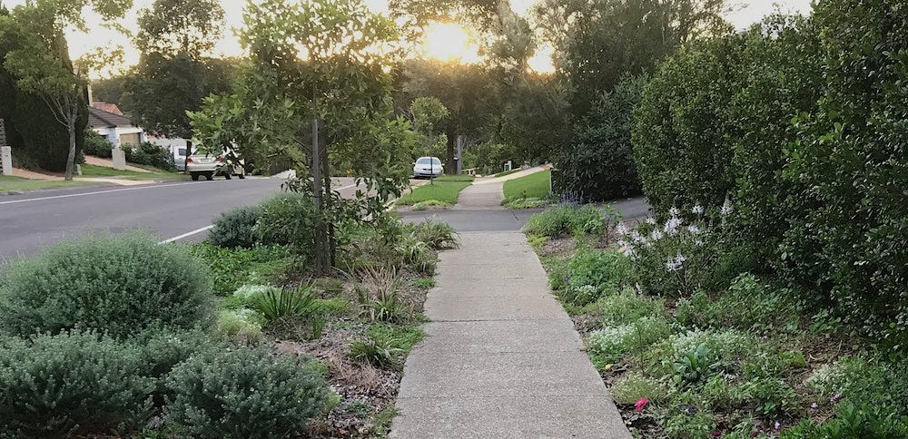 Photo of resident-planted verge