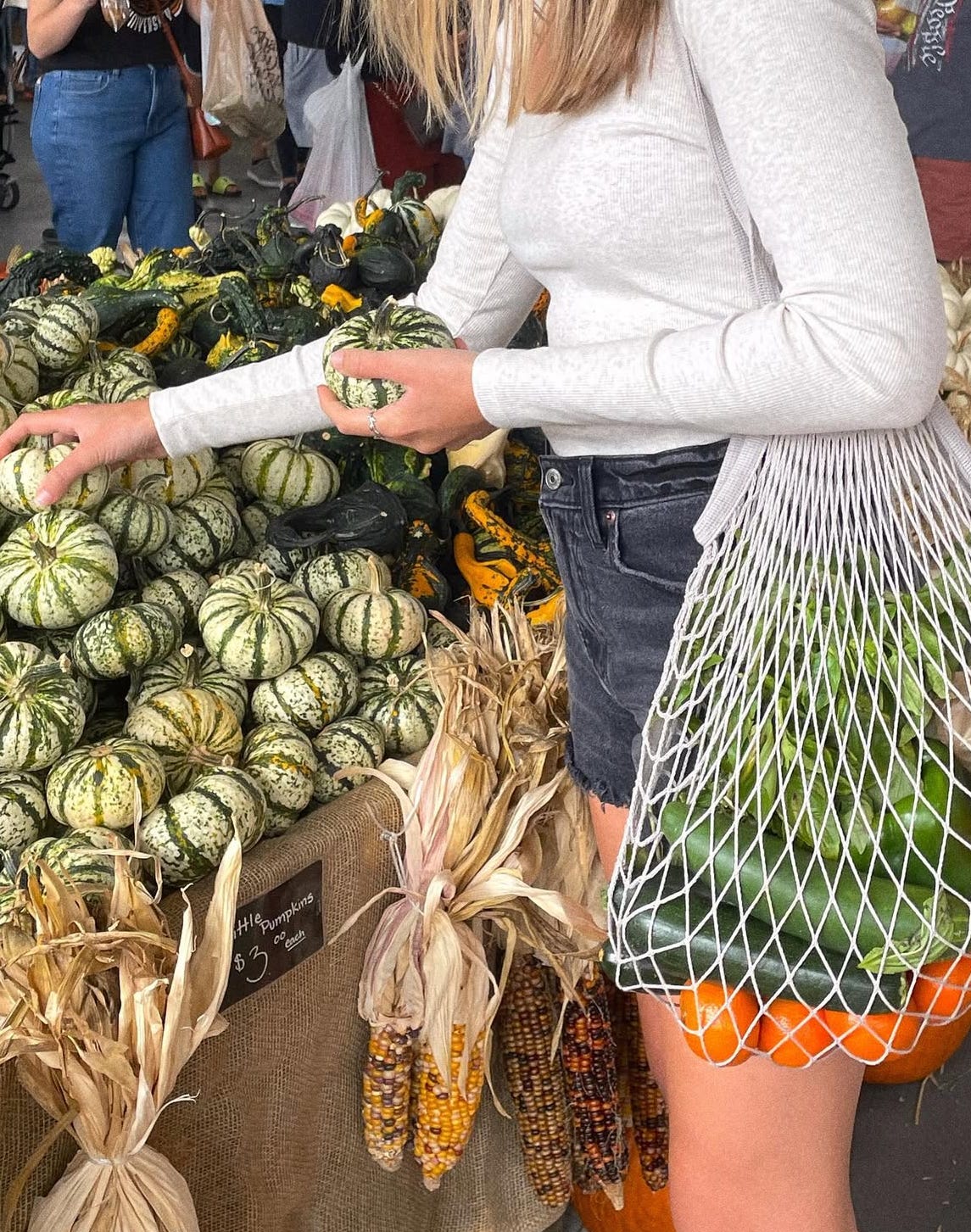 shopping at the local farmers market in the fall section shopping at the local farmers market in the fall section