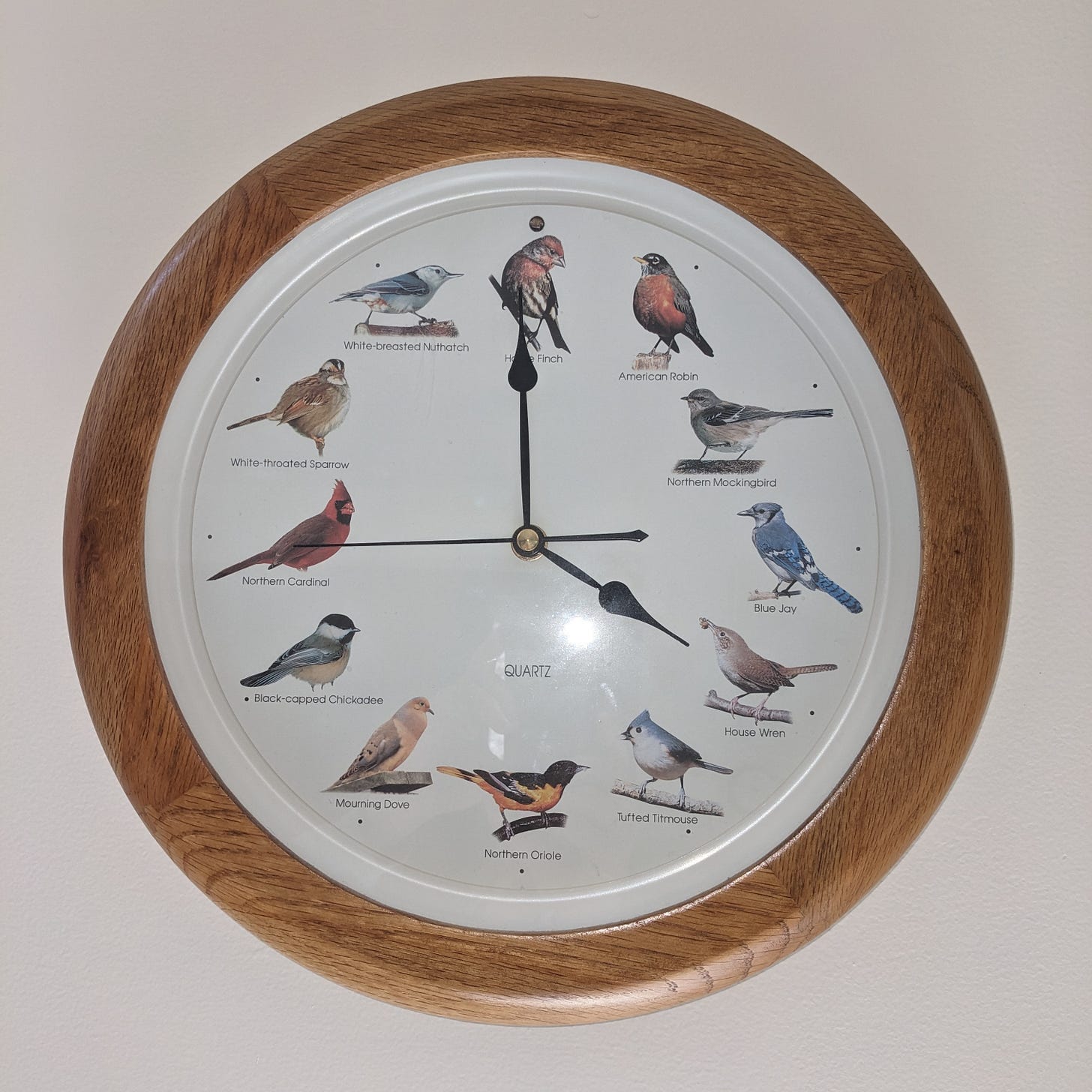A clock with a bird for each hour A clock with a bird for each hour