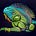 Iridescent Iguana's avatar