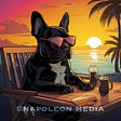 Napoleon Media 🐷's avatar