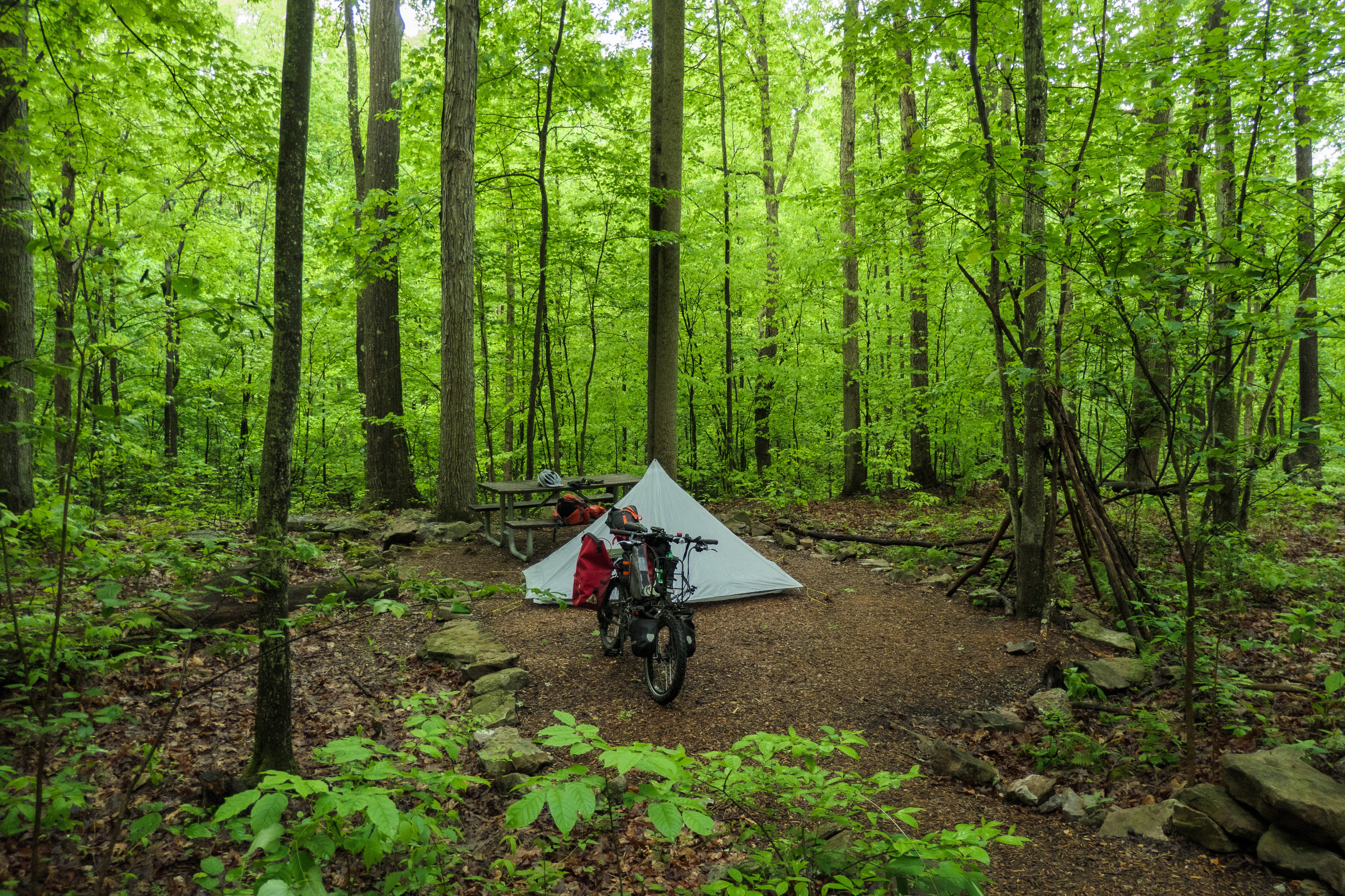 Photo of campsite in lush green woods. The frame is 80% green leaves and 20% dirt. A bicycle stands in front of a triangular, grey tent. The is a picnic table behind, with some things on it.