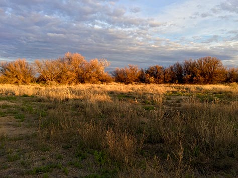 A beautiful ending to the perfect day, Wilcox Playa Wildlife Area, Arizona