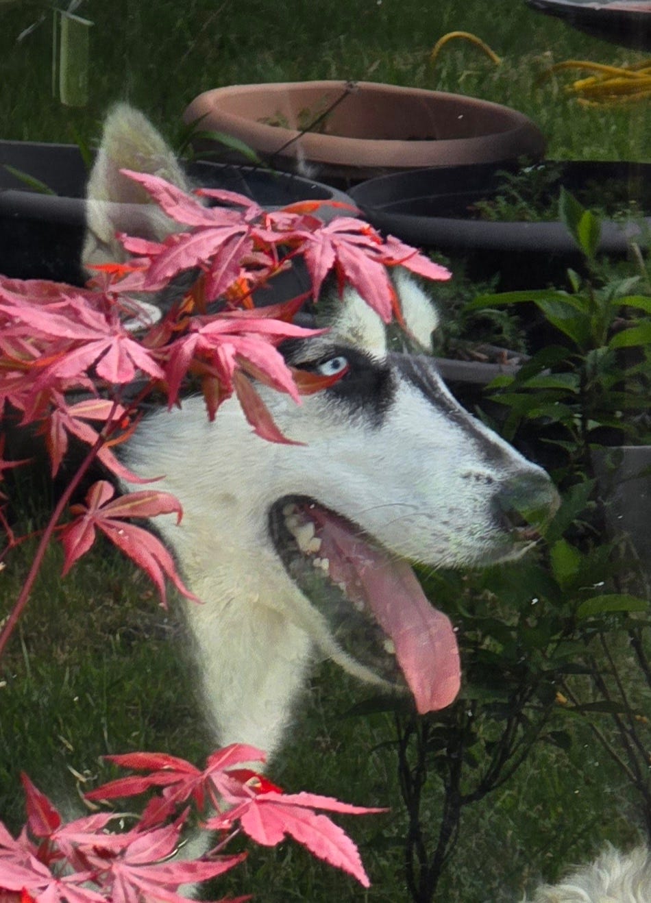 Ring in the love of truth and right,/ Ring in the common love of good ...