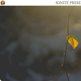 Things Will Never Be The Same