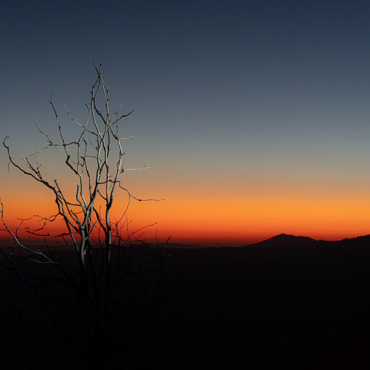 Artwork for Daniel’s Blog