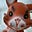 Mike and Kathy's avatar