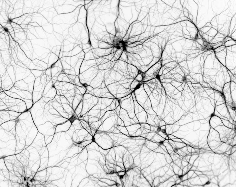 Deep Learning Pioneer Pushing GPU Neural Network Limits