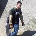 Update: OPP Say Multiple Homes Were Entered During Howdenvale Incident; Suspect Photos Released