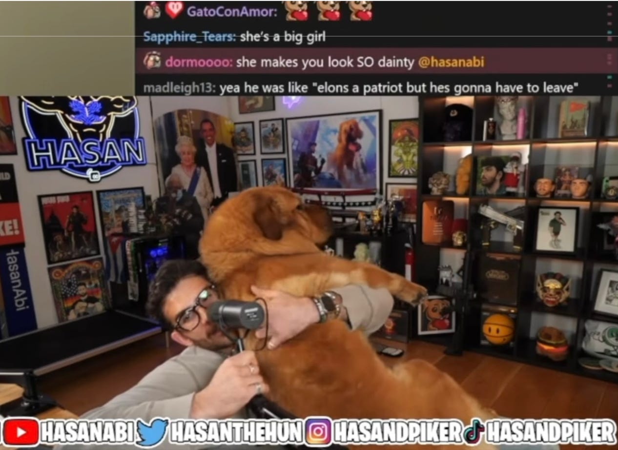 Photo: Hasan Piker streaming with his lovely doggo, Kaya.