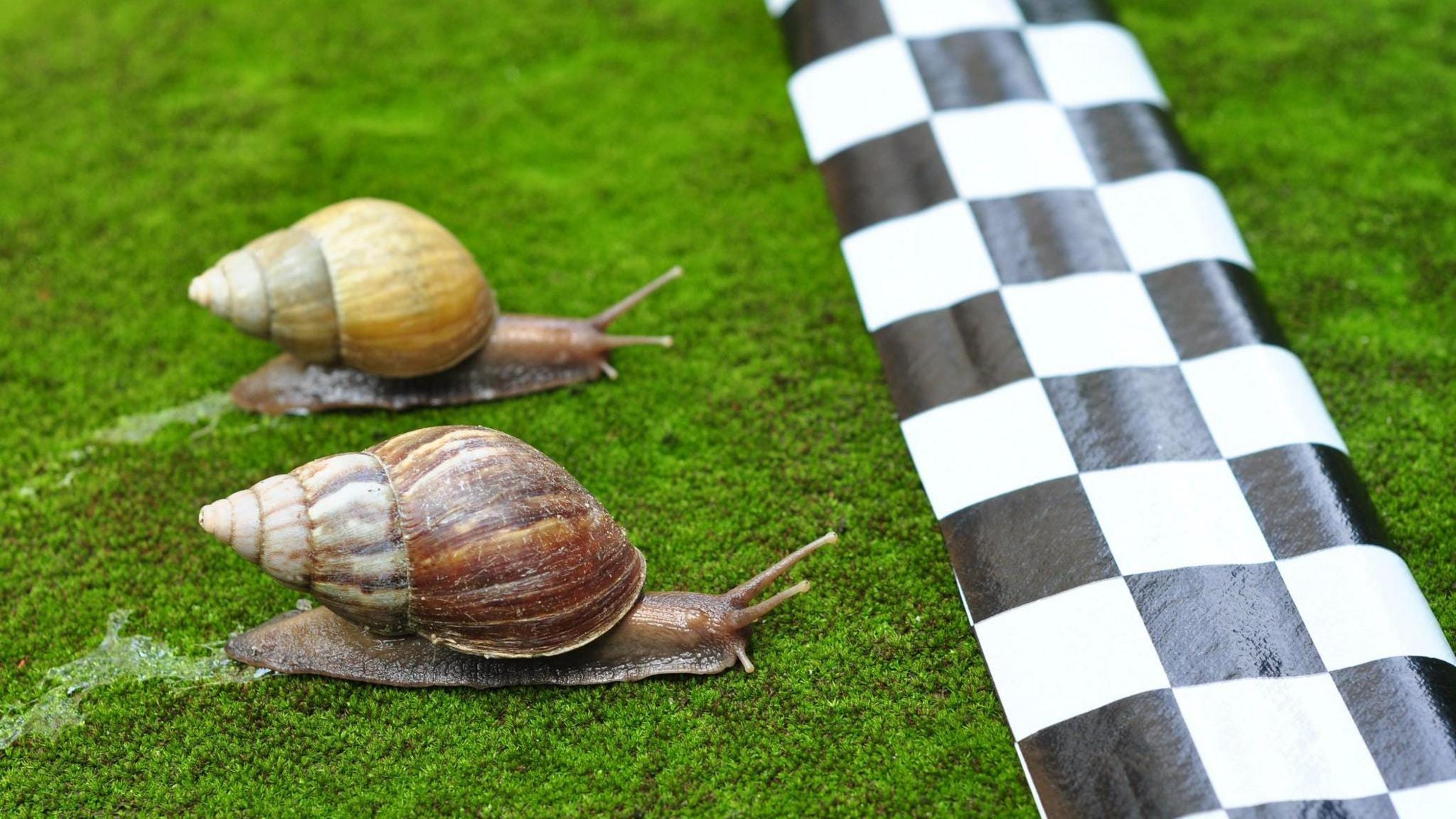 Slow Snail Racer She refused to give up her seat months before Rosa Parks
