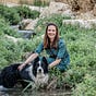 Susannah Schild's avatar