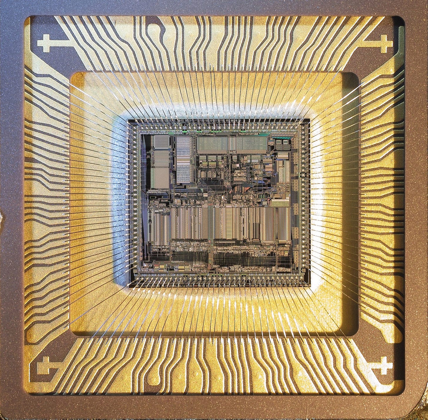 Motorola's 68000 Series: Its Rise in Ten Computers