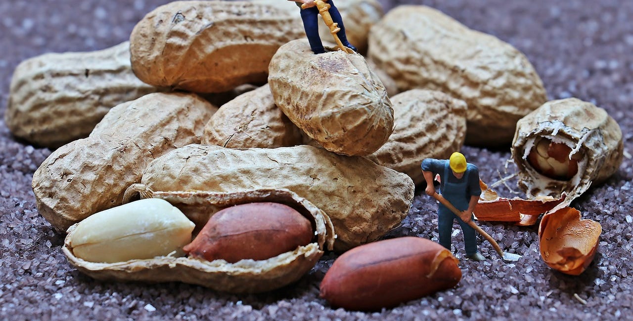 A Peanut Morning