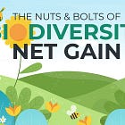 Η Νέα- Νέα Οικονομική Πολιτική