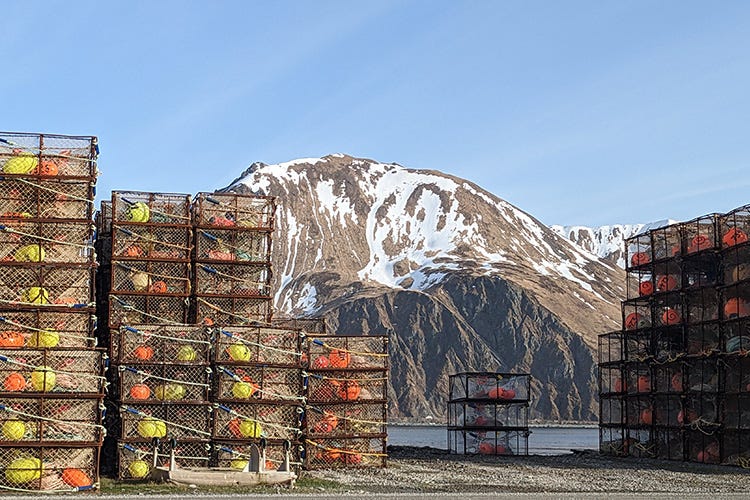Cages on a harbor with a snowy mountain in the background