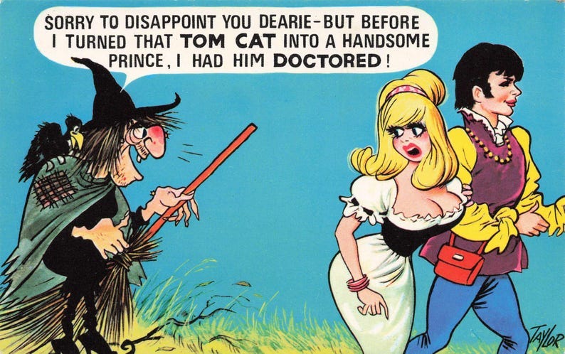 Saucy Seaside Comic postcard Artust Taylor Before i turned that Tom cat into a handsome prince Bamforth image 1